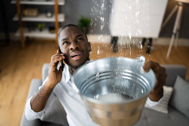 Best Water damage restoration services  in Leitchfield, KY