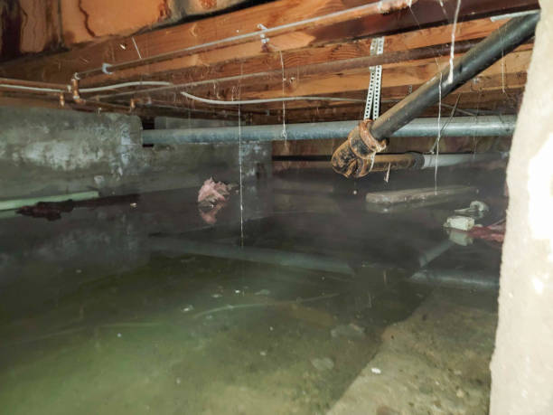 Water damage restoration mold remediation in KY