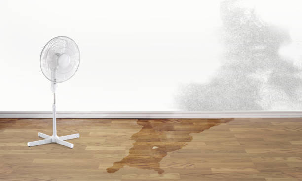 Water damage restoration process in KY