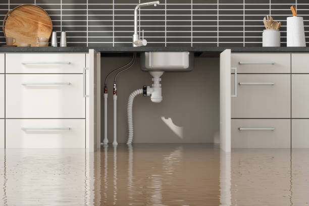 Best Water damage restoration process  in Leitchfield, KY
