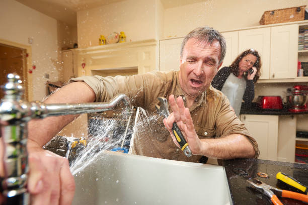 Best Carpet water damage restoration  in Leitchfield, KY